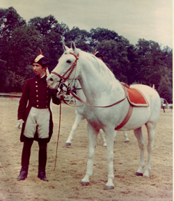 Ernst Bachinger, Director of the Spanish Riding School
